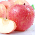 fresh fruits red Fuji apple